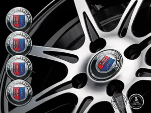 Alpina Ruota Adesivi Edizione Stile Silicone Lusso
